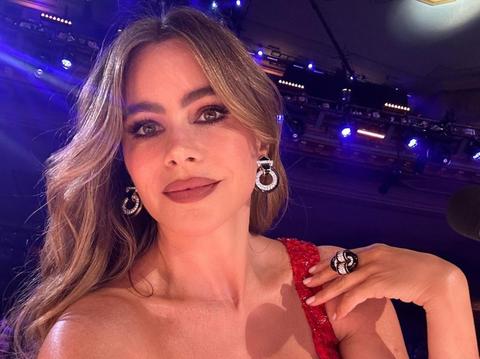 Sofia Vergara Strips Down In Makeup-Free Bathtub Selfie: See Photo