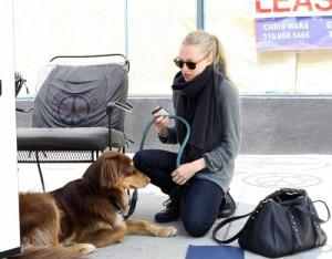 2011__04__91_Seyfried_Amanda_042011 300×234.jpg