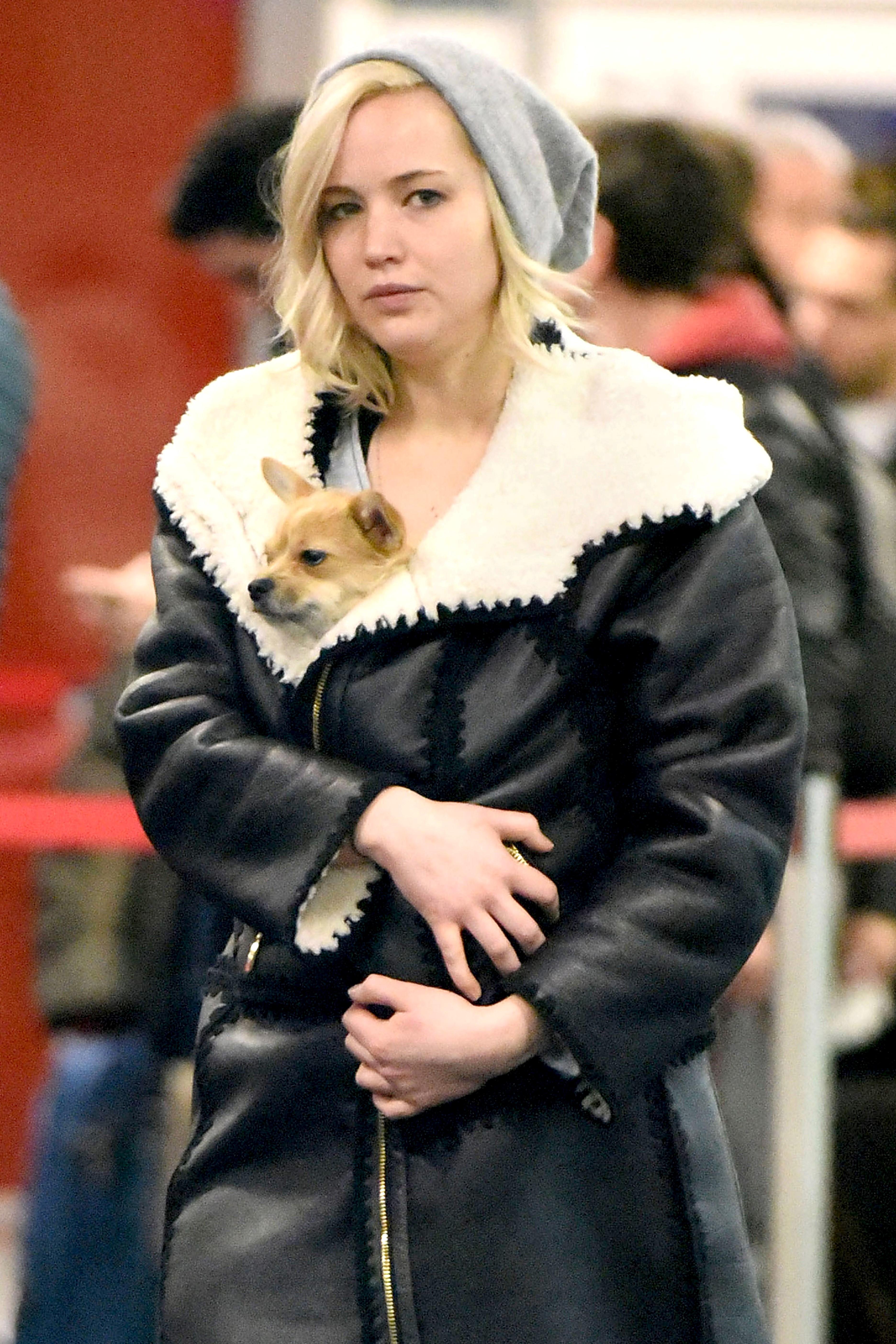 Jennifer lawrence holds dog arrive nyc airport 02