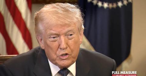 pic of Donald Trump.