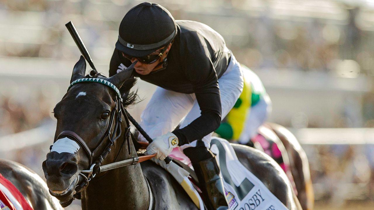 lil wayne is racing for million inside his breeders cup bid with run fast racing