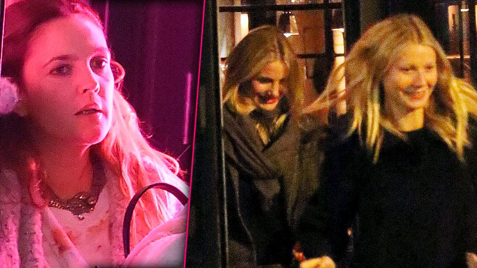 Gwyneth paltrow cameron diaz drew barrymore friends dinner 02