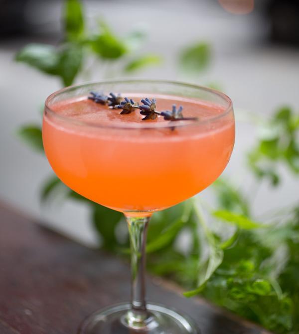 Drink Me IcelandicThemed Cocktails to Try!