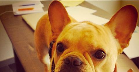 Chord Overstreet – Banjo