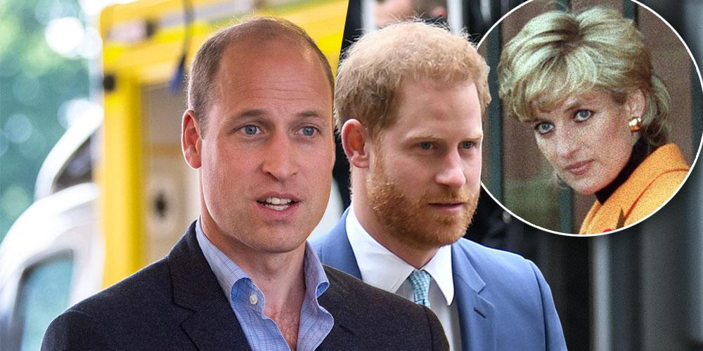 Prince William And Harry Are 'Demanding Answers' To Diana's Interview