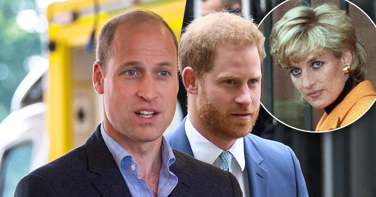 Prince William And Harry Are 'Demanding Answers' To Diana's Interview