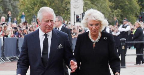 king charles queen consort camilla eggs thrown protestor