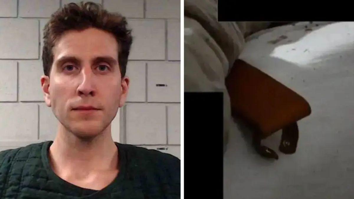 image of DNA found on a knife sheath left at the crime was identified as Bryan Kohberger's using IGG.