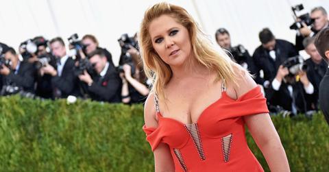 amy schemer anna wintour feud met gala