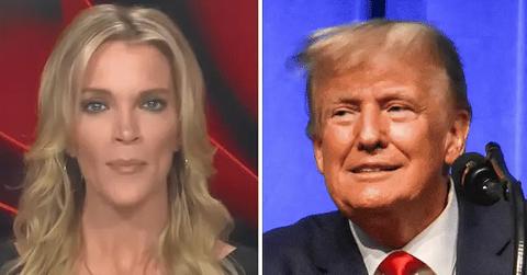 megyn kelly doesnt matter david pecker help donald trump win  pp