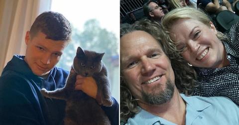 sister wives janelle browns son adopts cat new house