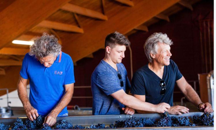 //Jesse JBJ and Gerard grape harvest e