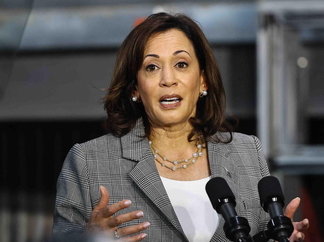 kamala harris worried  election