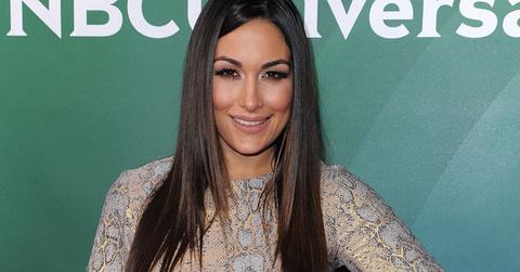 Brie bella total divas pregnancy retirement