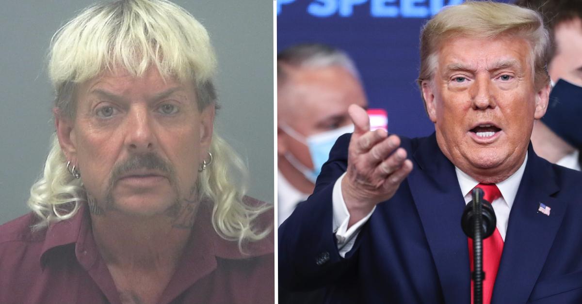 joe exotic legal team hoping for trump pardon pp