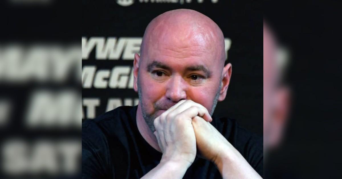 dana white pp