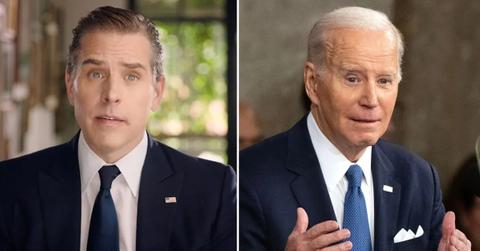 hunter joe biden pp