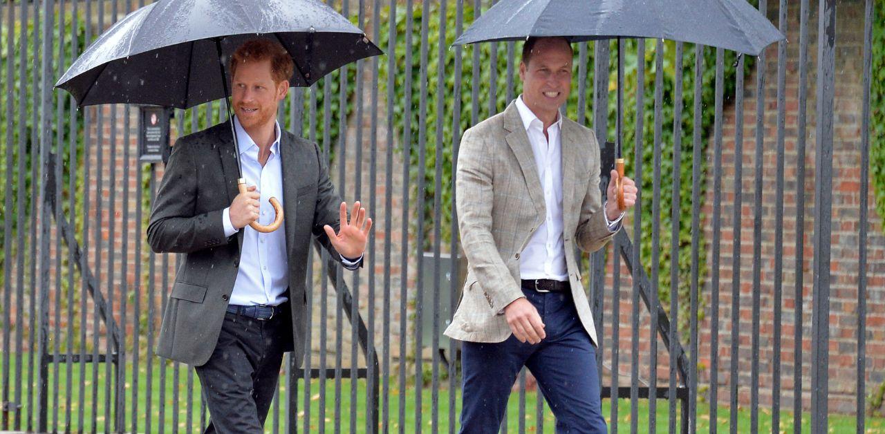 prince william made point avoid prince harry princess diana event