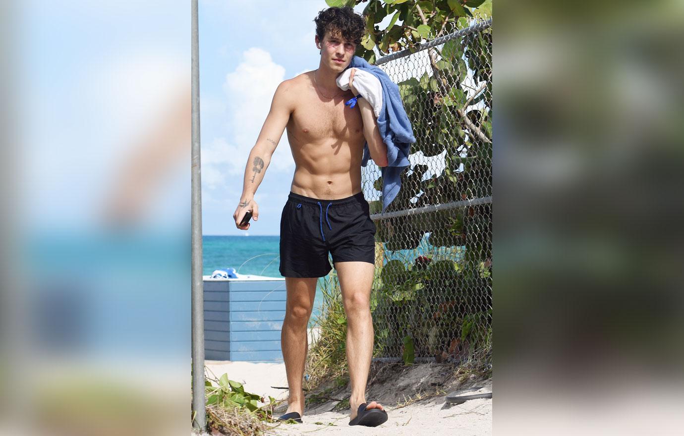 shawn mendes camila cabello beach bikini shirtless miami