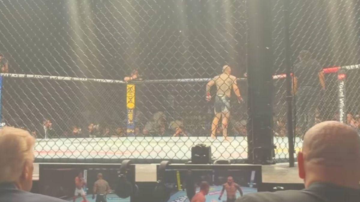 image of President Trump sat ringside at a UFC event in Miami, Fla.