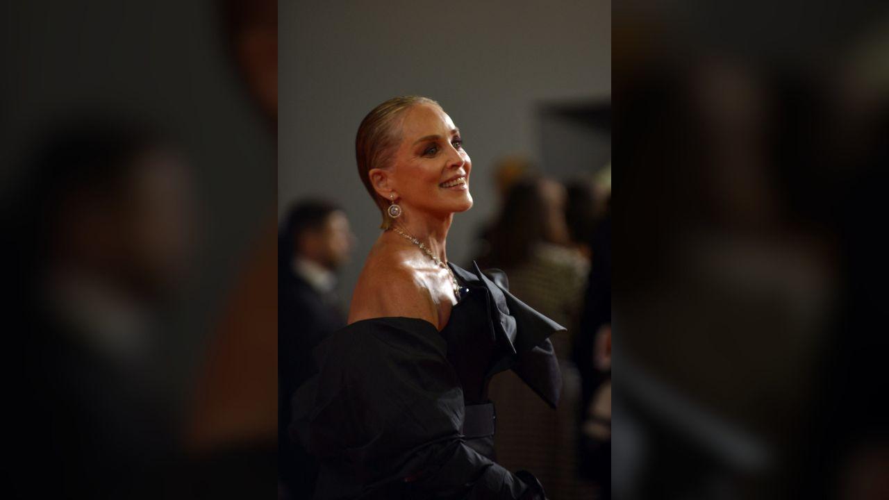 Image of Sharon Stone said she wants to find a connection.