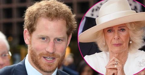 Photo of Prince Harry and Camilla Parker Bowles