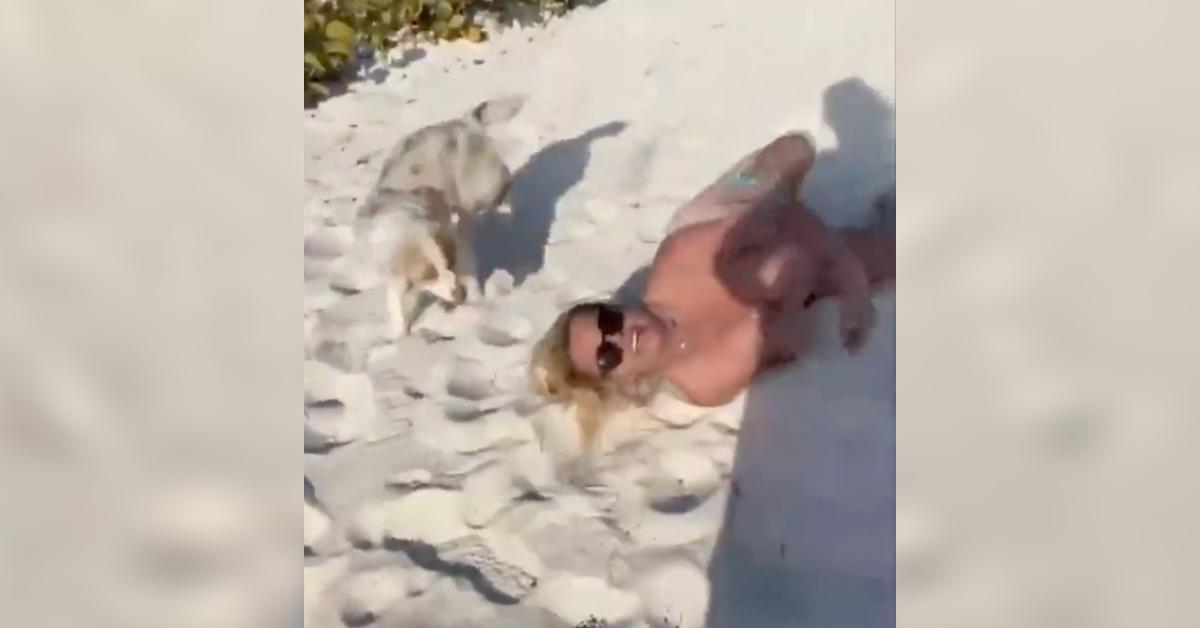 britney spears runs topless falling sand resurfaced viral video watch