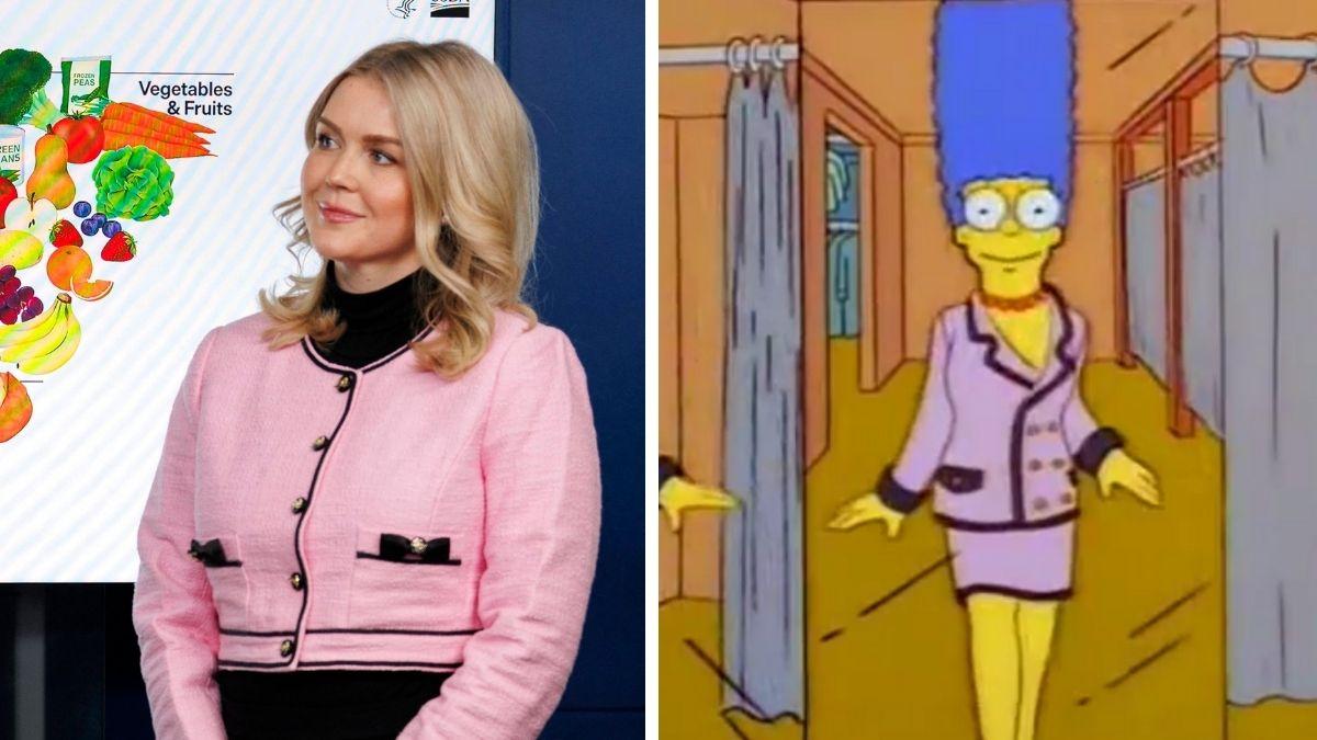 image of Karoline Leavitt drew attention for wearing a pink suit at a White House briefing.