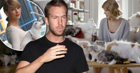 Calvin harris allergic taylor swift cats