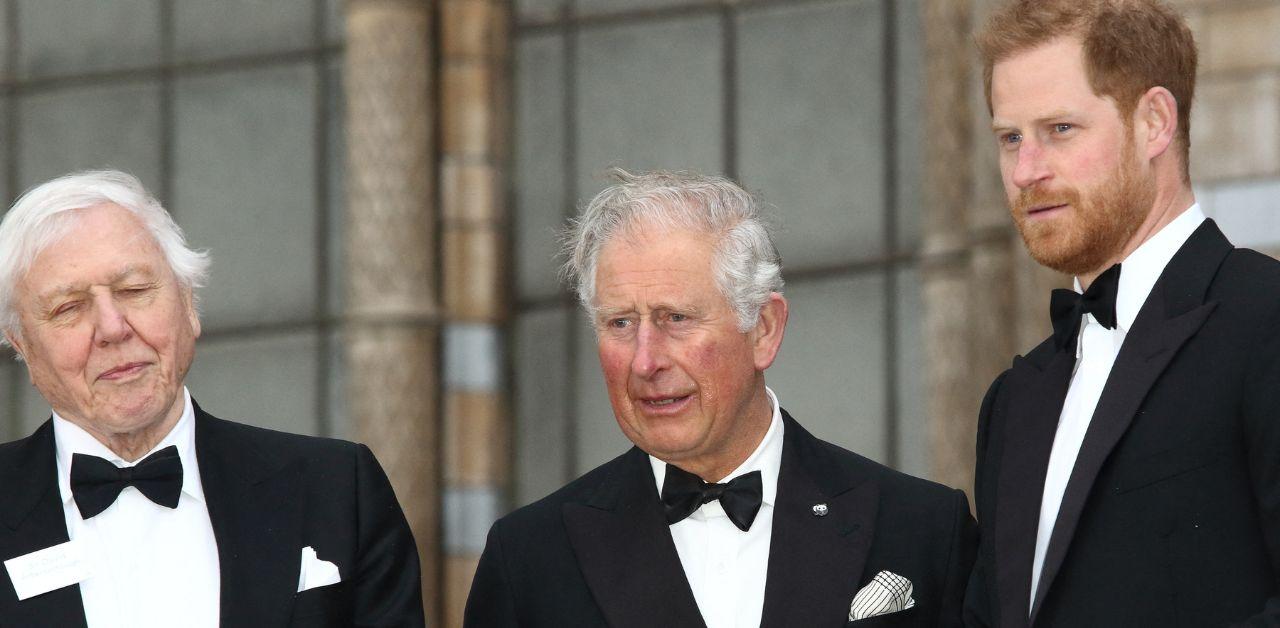 king charles gives prince harry silent treatment committing cardinal sin shading queen camilla