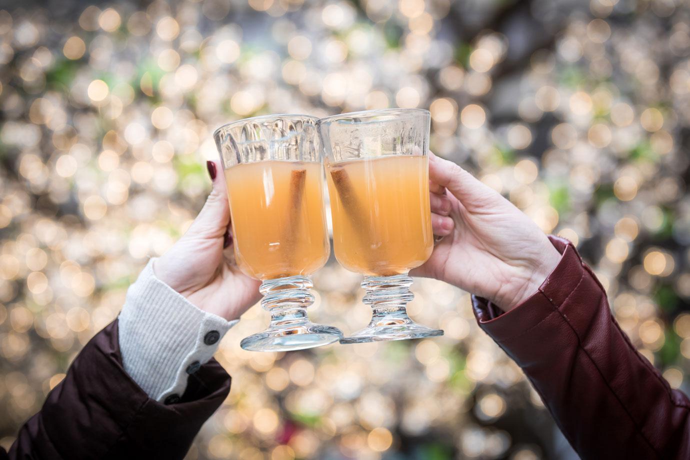 Two people toasting mugs of eggnog during Christmas holiday