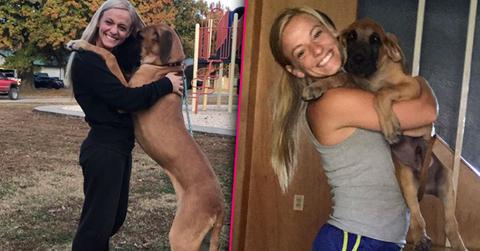 Mackenzie mckee dog passed away causes instagram