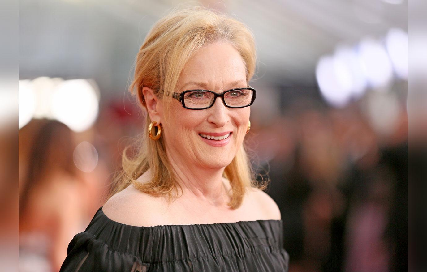 MERYL1