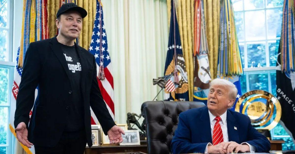 donald trump says elon musk uses drugs