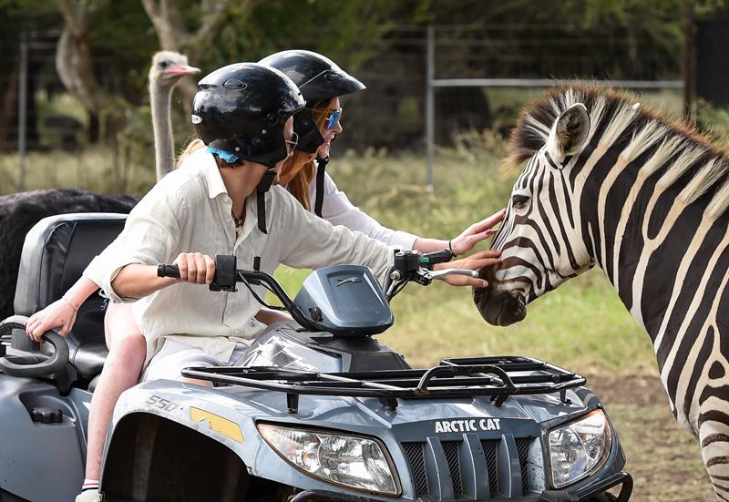 *PREMIUM EXCLUSIVE* Lindsay Lohan and Egor Tarabasov on a Romantic Safari Adventure