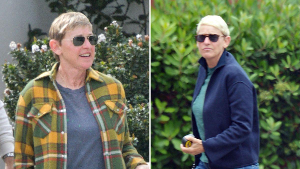 Ellen DeGeneres, Portia de Rossi