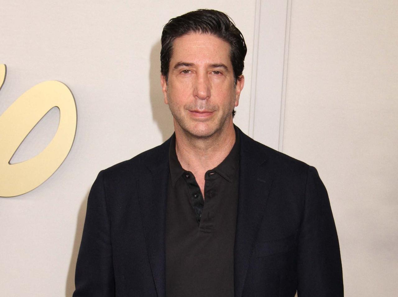 David Schwimmer Reveals Costar Matthew Perry Was 'Reserved'
