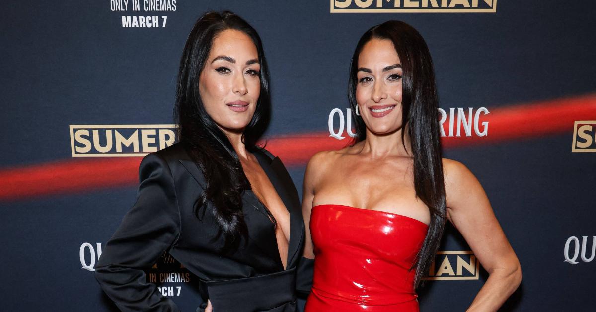 nikki bella garcia villain artem chigvintsev divorce woman
