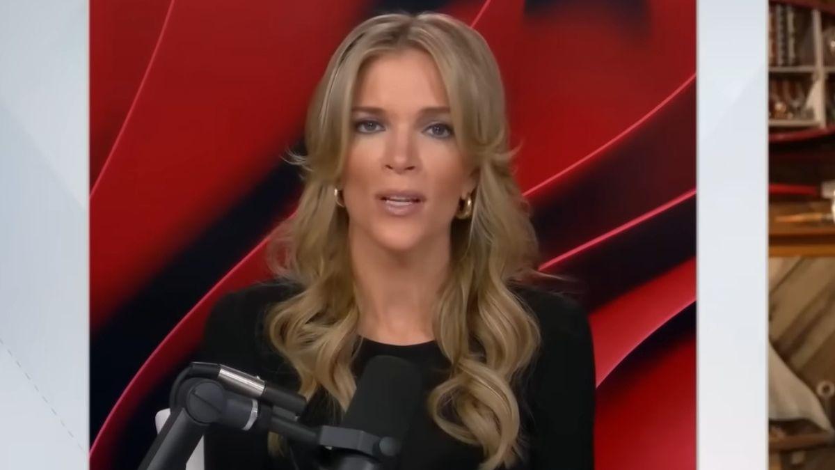 Photo of Megyn Kelly called Ellen DeGeneres a 'bully' while discussing the talk show host's reaction to the shooting in Minneapolis. 