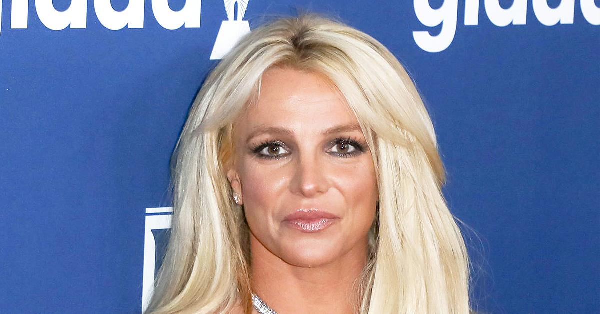 britney spears secretly met journalist bathroom sign court documents