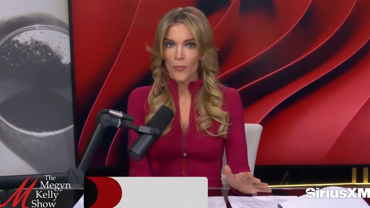Image of Megyn Kelly believes Alex Murdaugh is guilty but is 'entitled' to a re-trial.