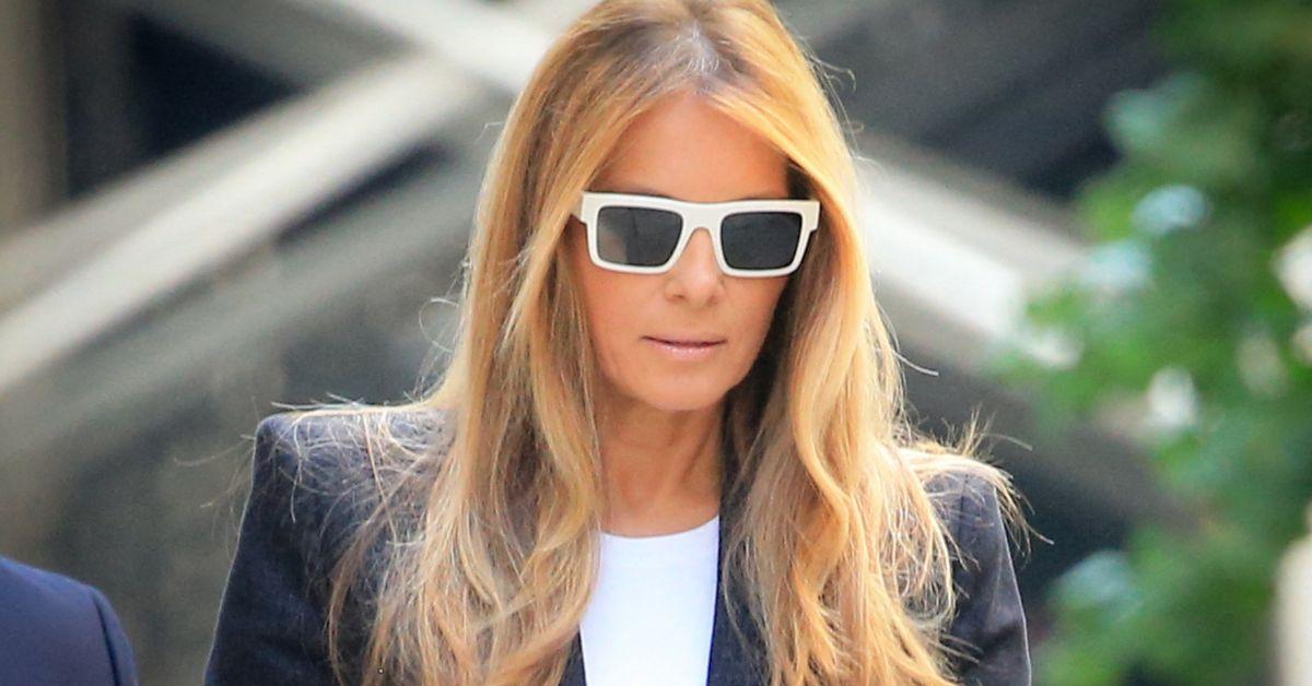 photo of Critics referred to FLOTUS as a 'moron' without intelligence