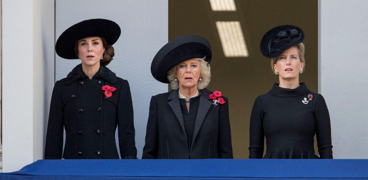 princess anne protest queen camilla consort title