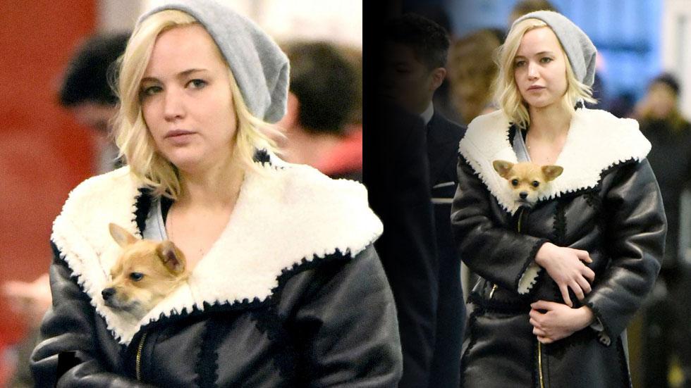 Jennifer lawrence holds dog arrive nyc airport pp