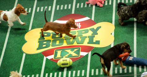 GettyImages 160313894