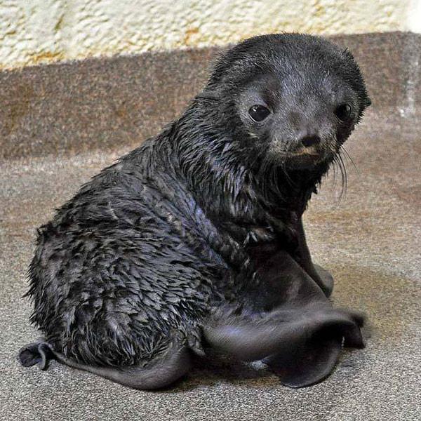 New England Aquarium