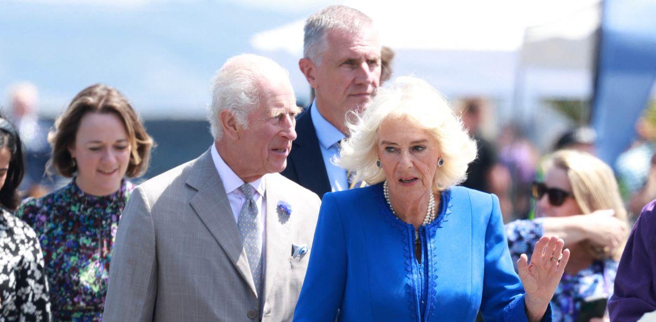 queen camilla against king charles publicizing cancer diagnosis