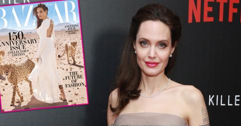 Angelina Jolie Harpers Bazaar Harvey Weinstein Pics Long
