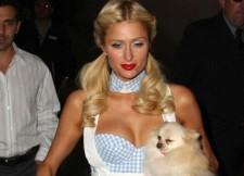 2009__10__35323pcn_paris03 225×162.jpg