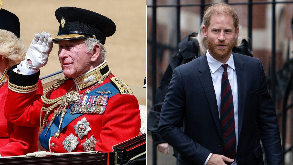 Split photo of King Charles and Prince Harry